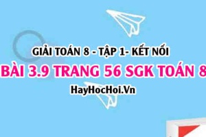 Giải bài 3.9 trang 56 Toán 8 Tập 1 SGK Kết nối tri thức